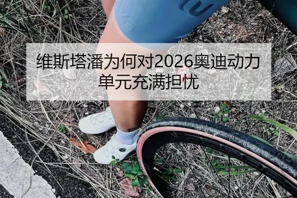 维斯塔潘为何对2026奥迪动力单元充满担忧（www.hth.com）