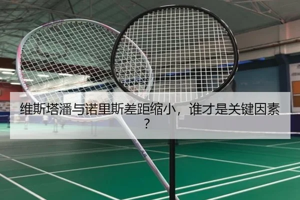 维斯塔潘与诺里斯差距缩小，谁才是关键因素？
