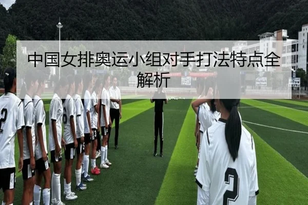 中国女排奥运小组对手打法特点全解析 - hth.com